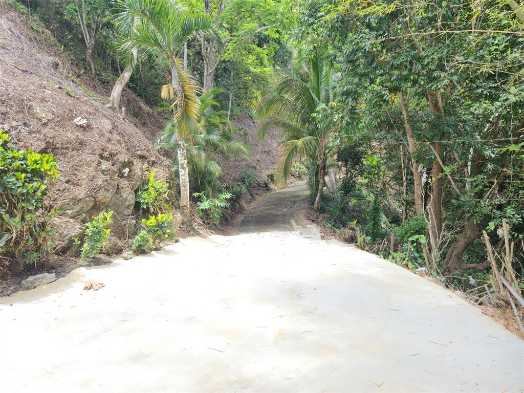 Pr 156 Km. 23.9, Rio Hondo Ward, Comerio - 37