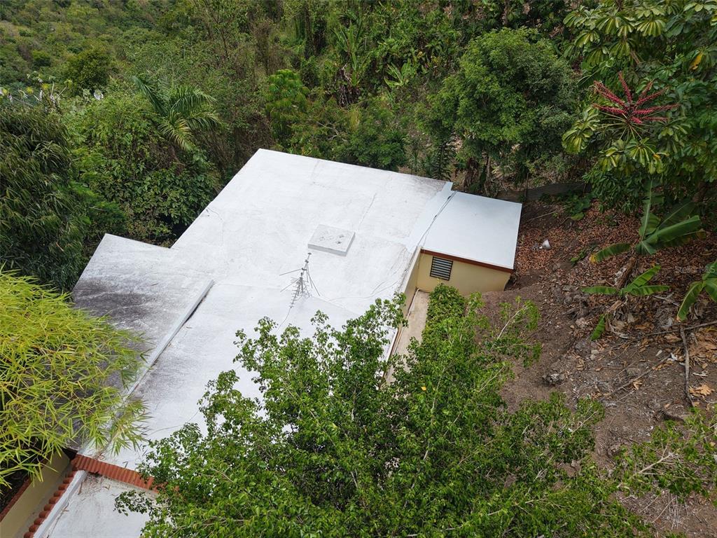 Pr 156 Km. 23.9, Rio Hondo Ward, Comerio - 40