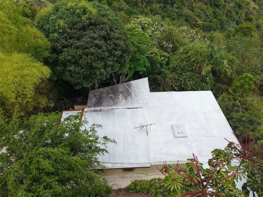 Pr 156 Km. 23.9, Rio Hondo Ward, Comerio - 41
