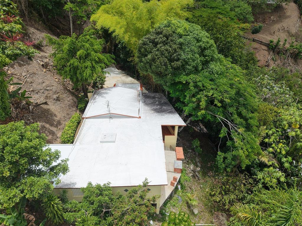 Pr 156 Km. 23.9, Rio Hondo Ward, Comerio - 42