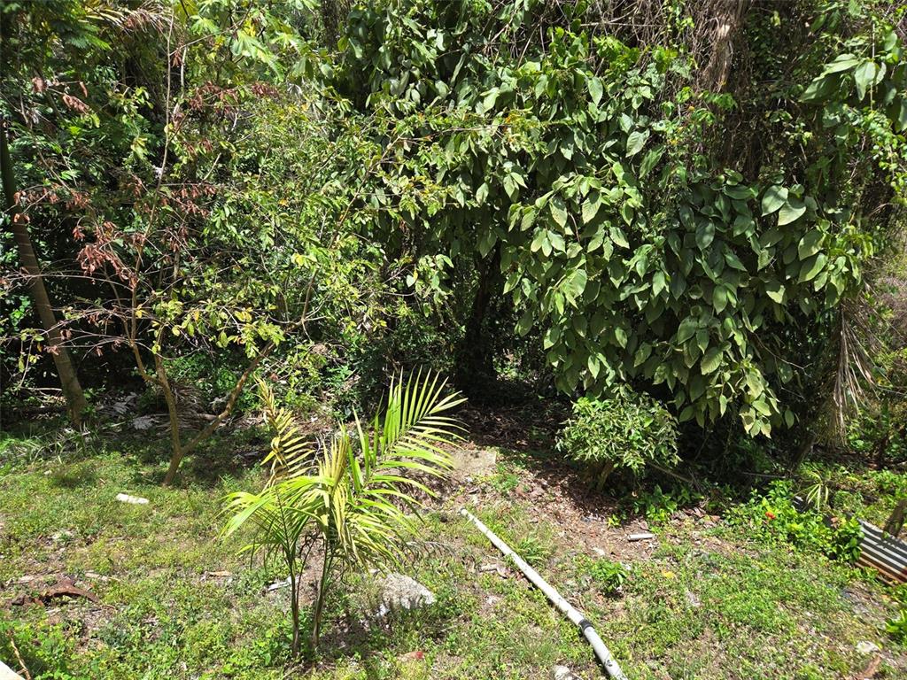 Pr 156 Km. 23.9, Rio Hondo Ward, Comerio - 44