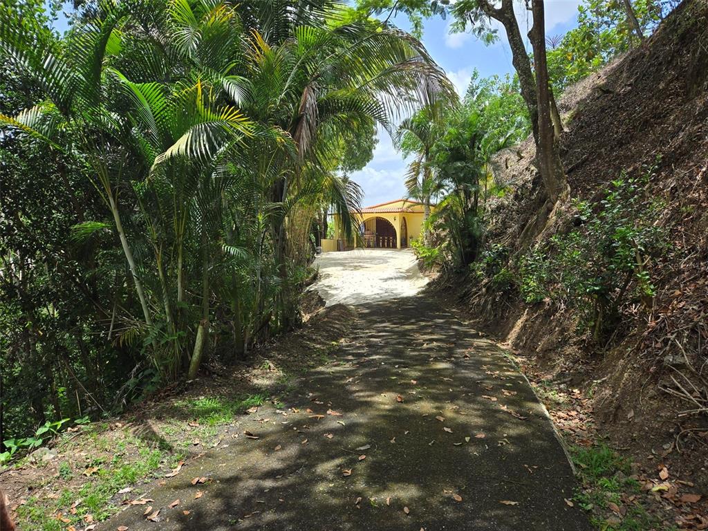 Pr 156 Km. 23.9, Rio Hondo Ward, Comerio - 5