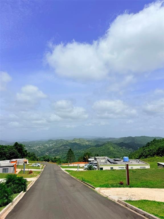 Pr 770 Km 2.9 Parcela 3, Palo Hincado, Barranquitas - 10
