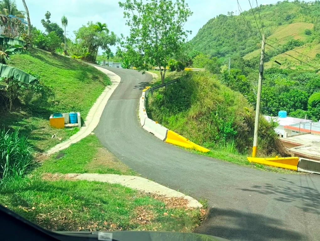 Pr 770 Km 2.9 Parcela 3, Palo Hincado, Barranquitas - 11