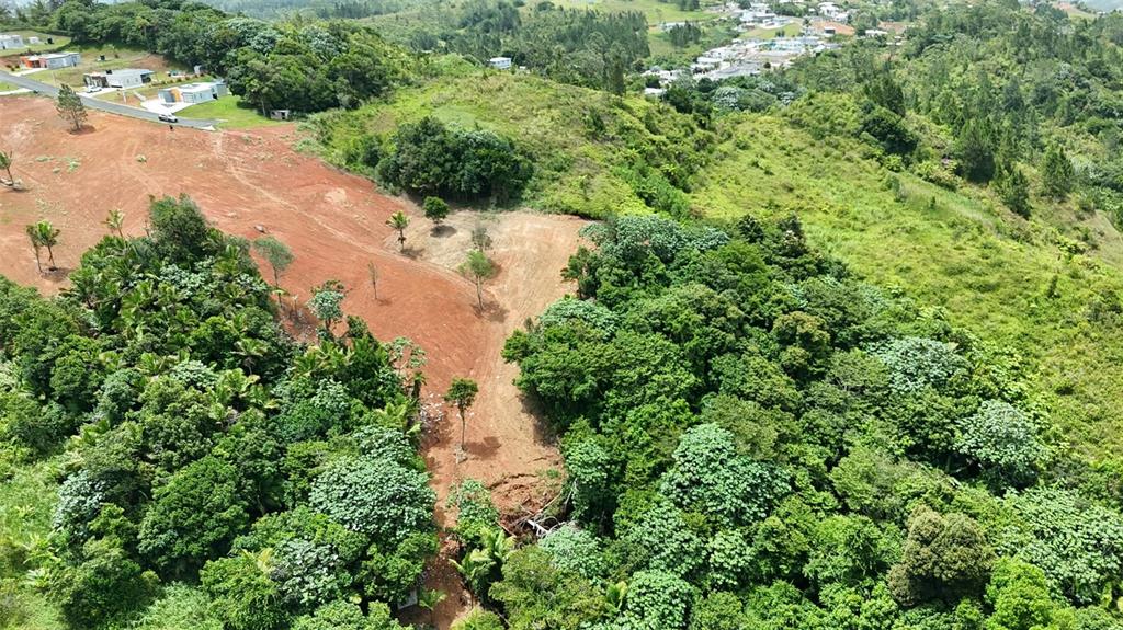 Pr 770 Km 2.9 Parcela 3, Palo Hincado, Barranquitas - 2