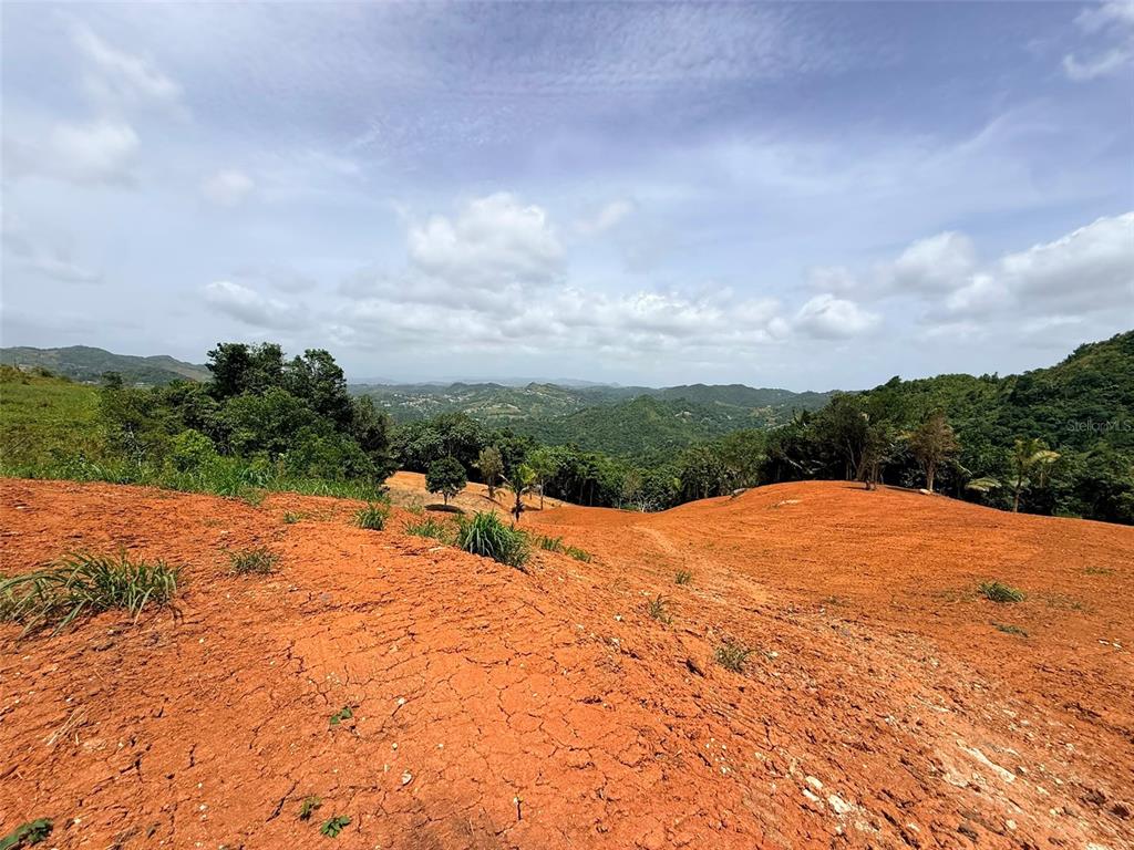 Pr 770 Km 2.9 Parcela 3, Palo Hincado, Barranquitas - 3