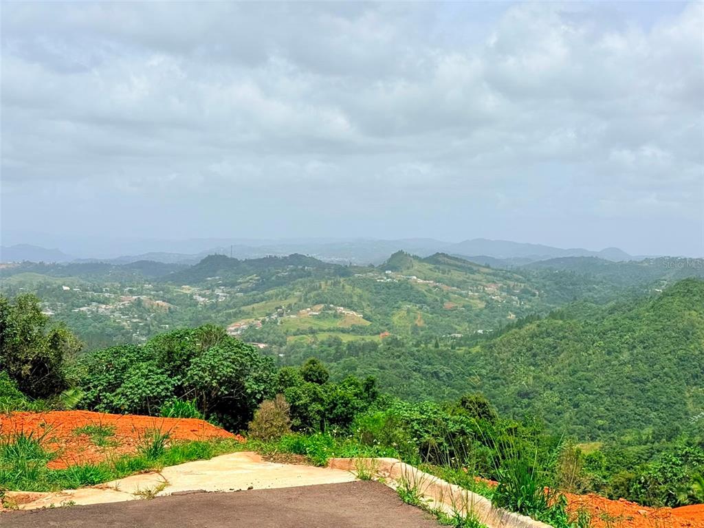 Pr 770 Km 2.9 Parcela 3, Palo Hincado, Barranquitas - 4