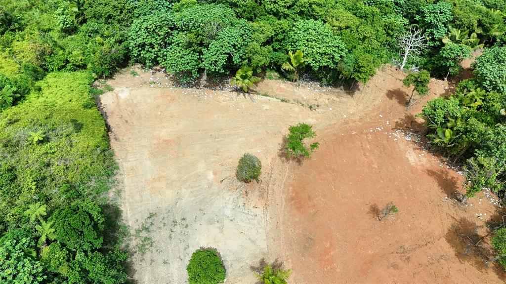 Pr 770 Km 2.9 Parcela 3, Palo Hincado, Barranquitas - 7