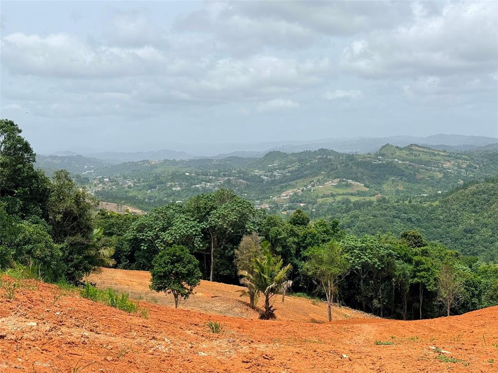 Pr 770 Km 2.9 Parcela 3, Palo Hincado, Barranquitas - 8