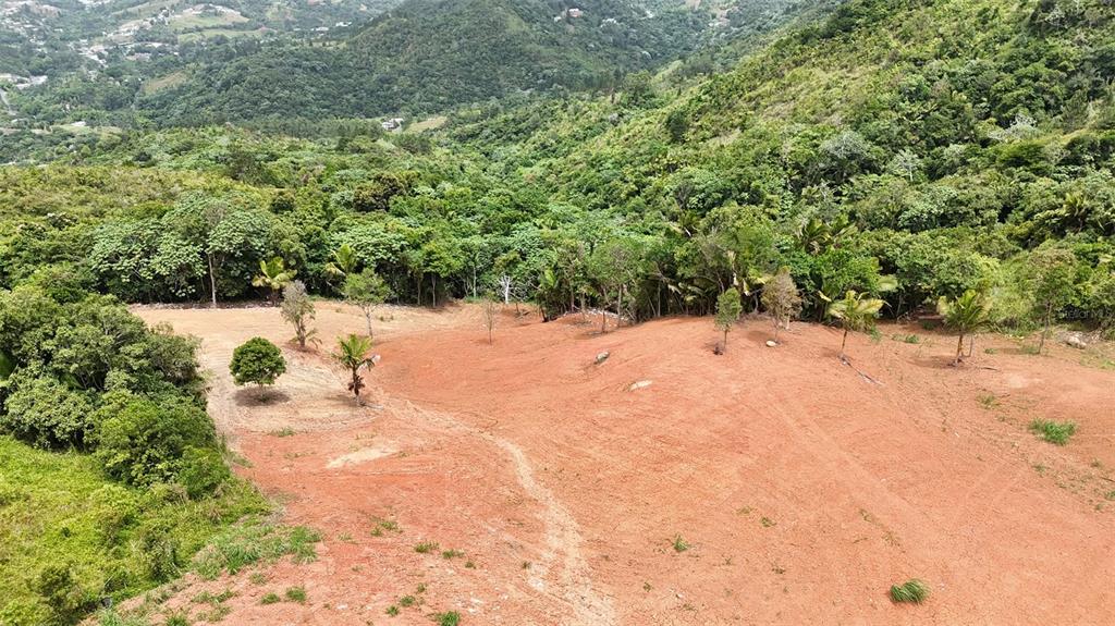 Pr 770 Km 2.9 Parcela 3, Palo Hincado, Barranquitas - 9