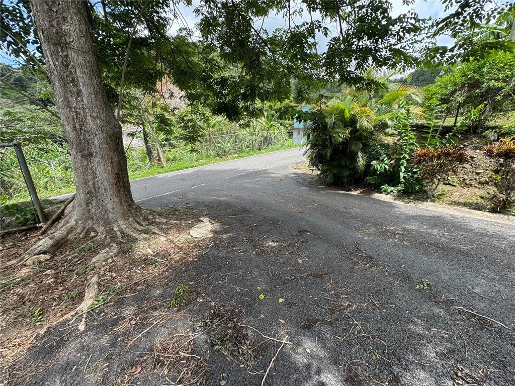 131, Guilarte, Adjuntas - 10