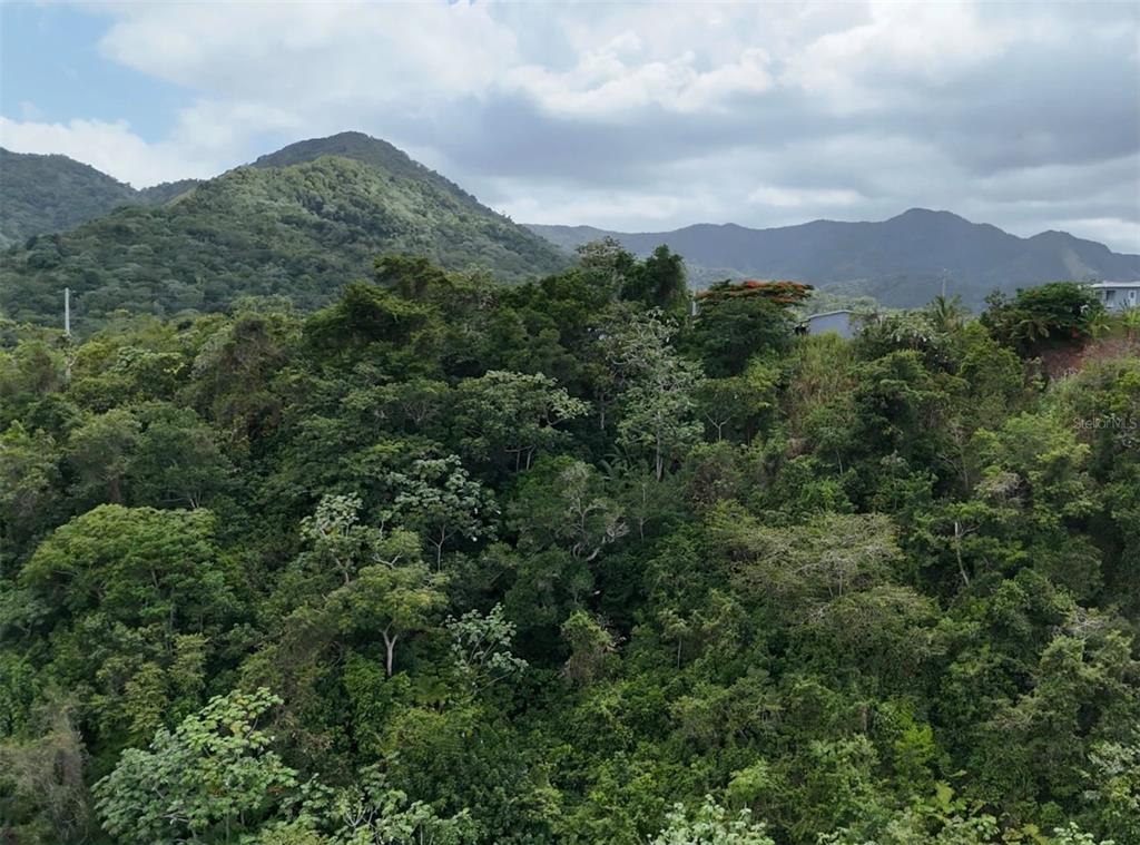 131, Guilarte, Adjuntas - 2