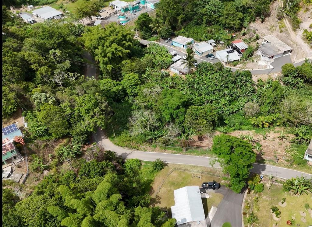 131, Guilarte, Adjuntas - 3