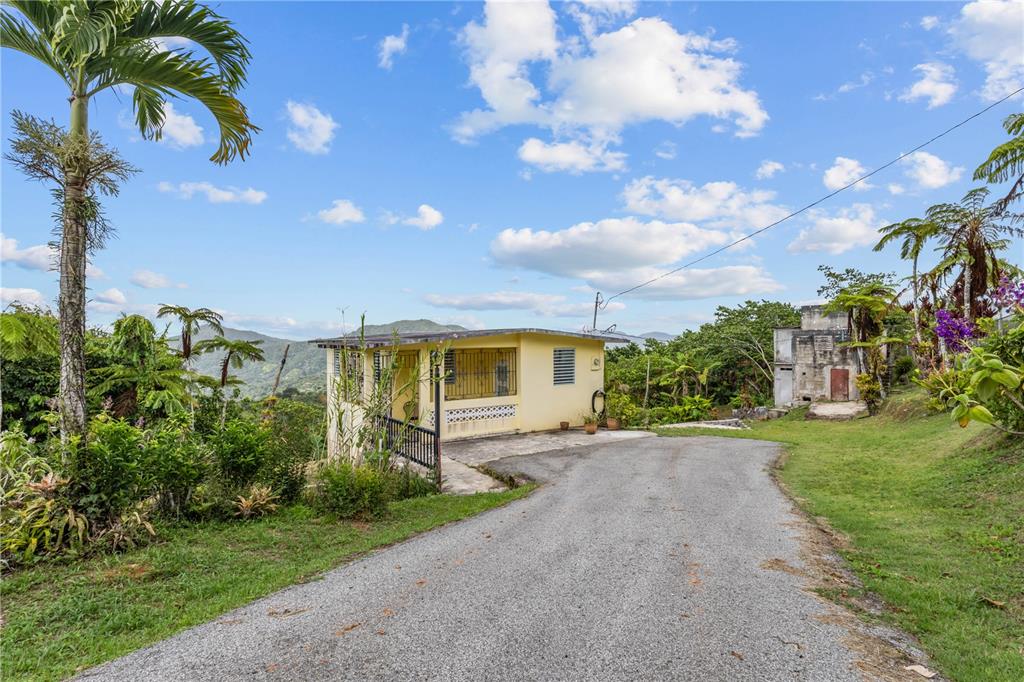 Carretera 143, Km 5.7, Utuado - 21
