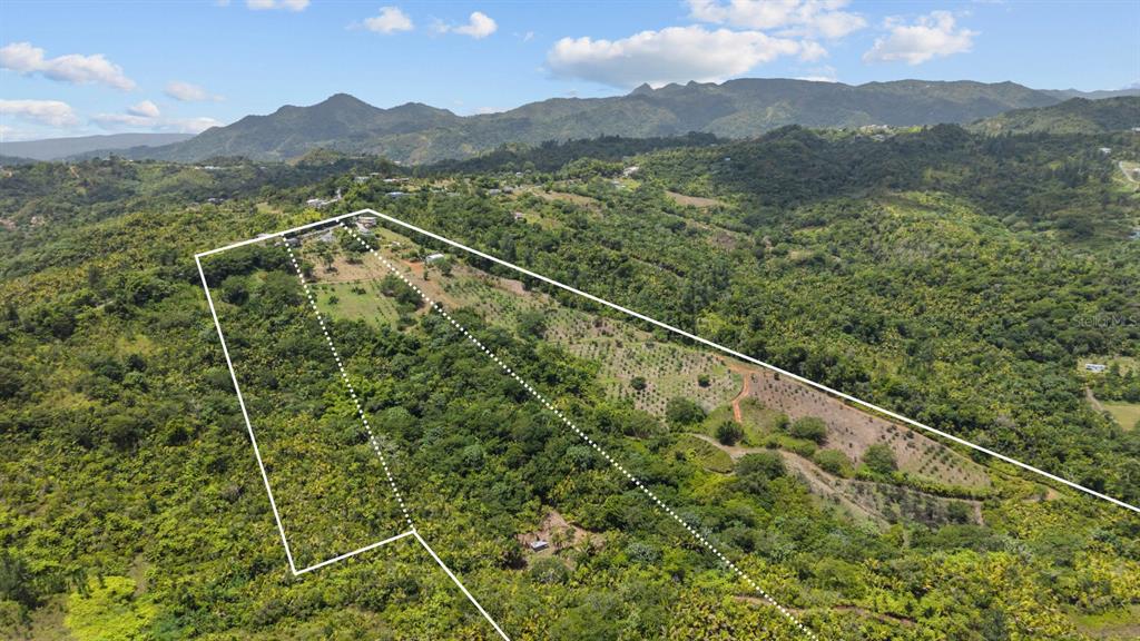 Carretera 143, Km 5.7, Utuado - 3