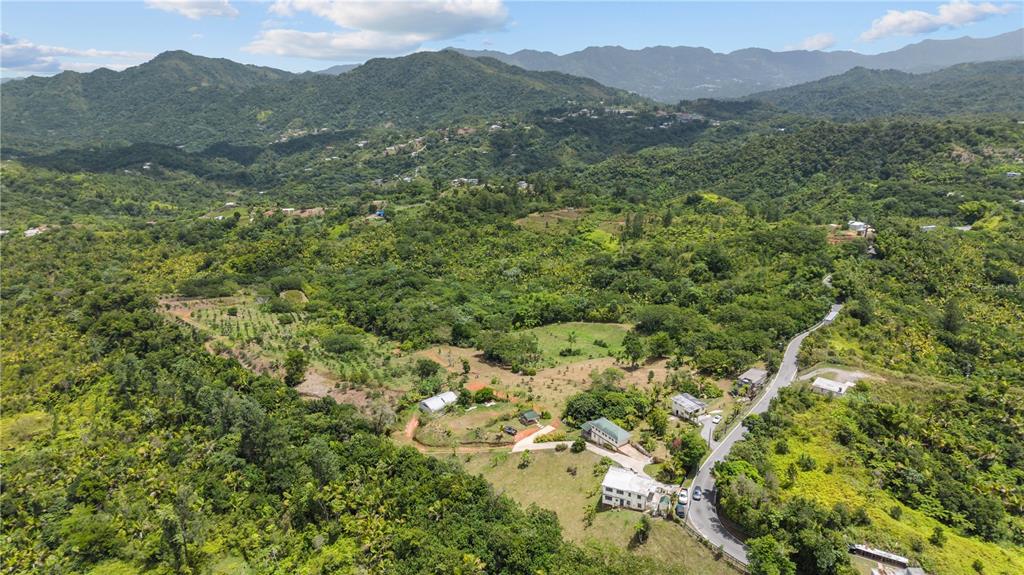 Carretera 143, Km 5.7, Utuado - 31