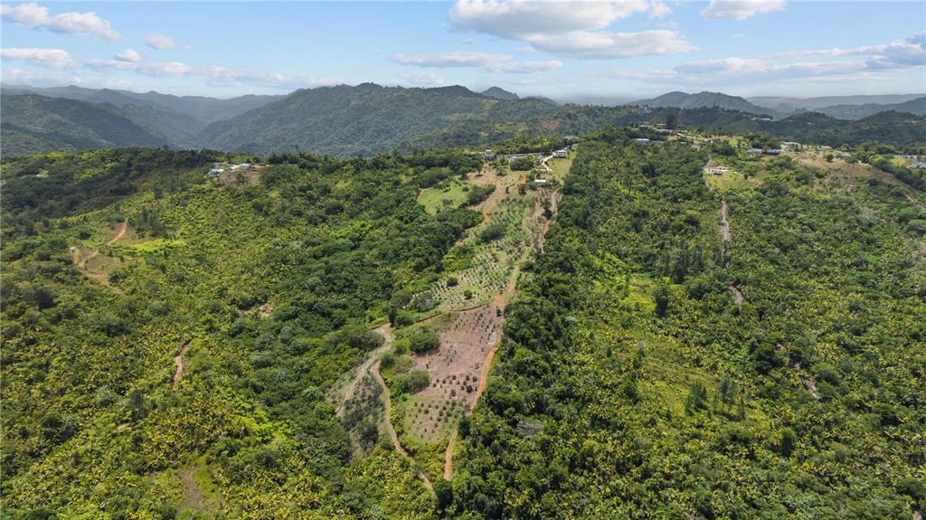 Carretera 143, Km 5.7, Utuado - 32